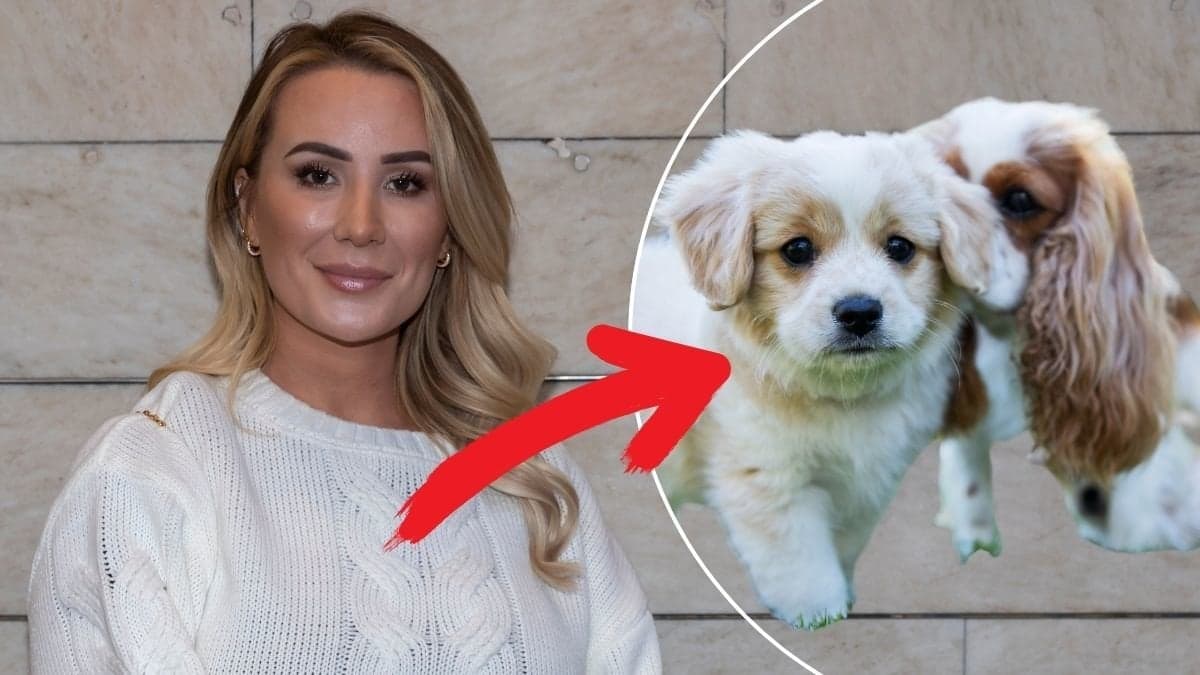 Alexandra Nilsson, Skavlan och Sverige