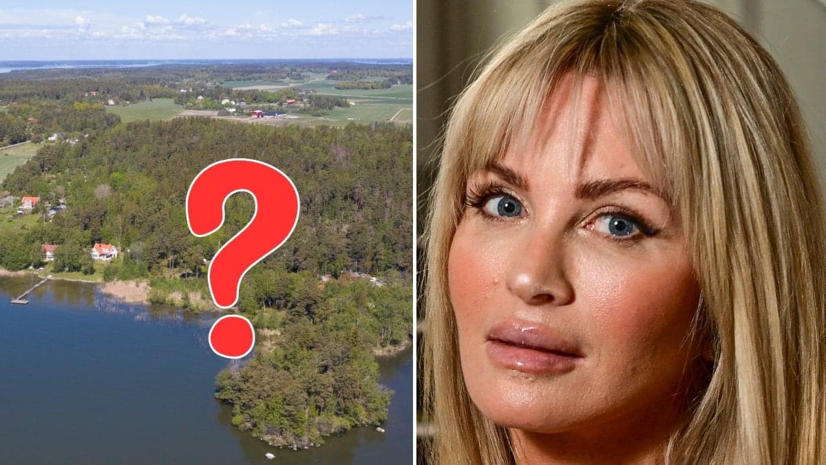 EN bild på Adelsö ovanifrån och Carolina Gynning. 