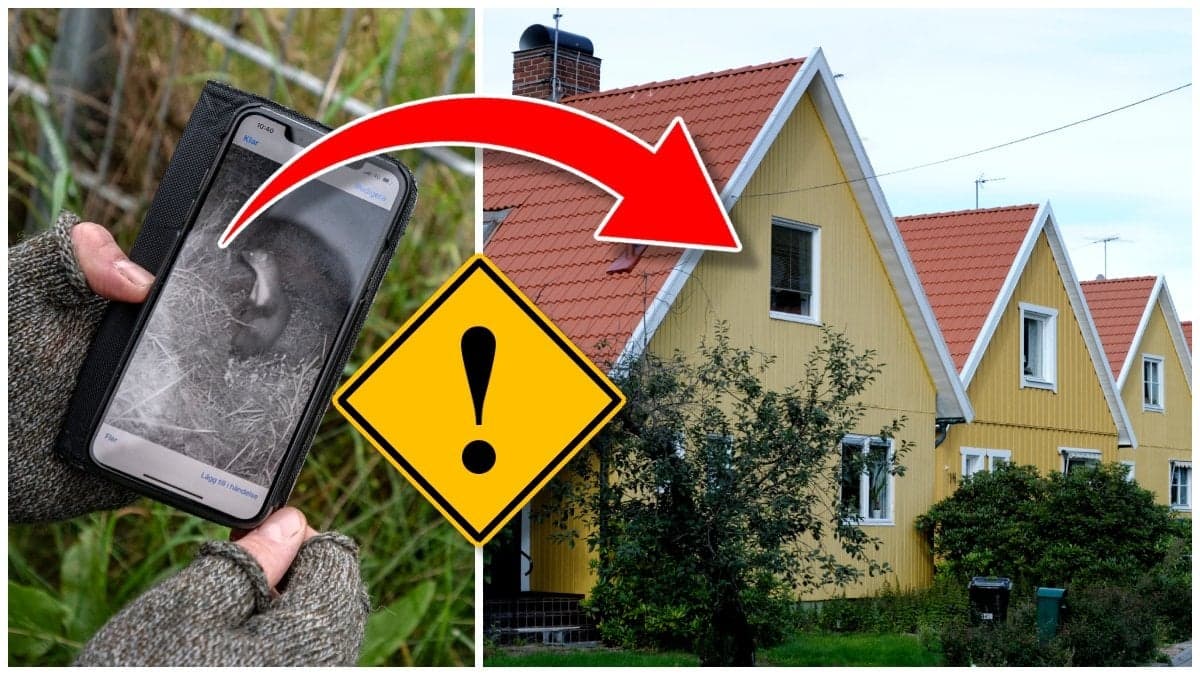 Mobiltelefon med bild på stenmård och flera gula villor