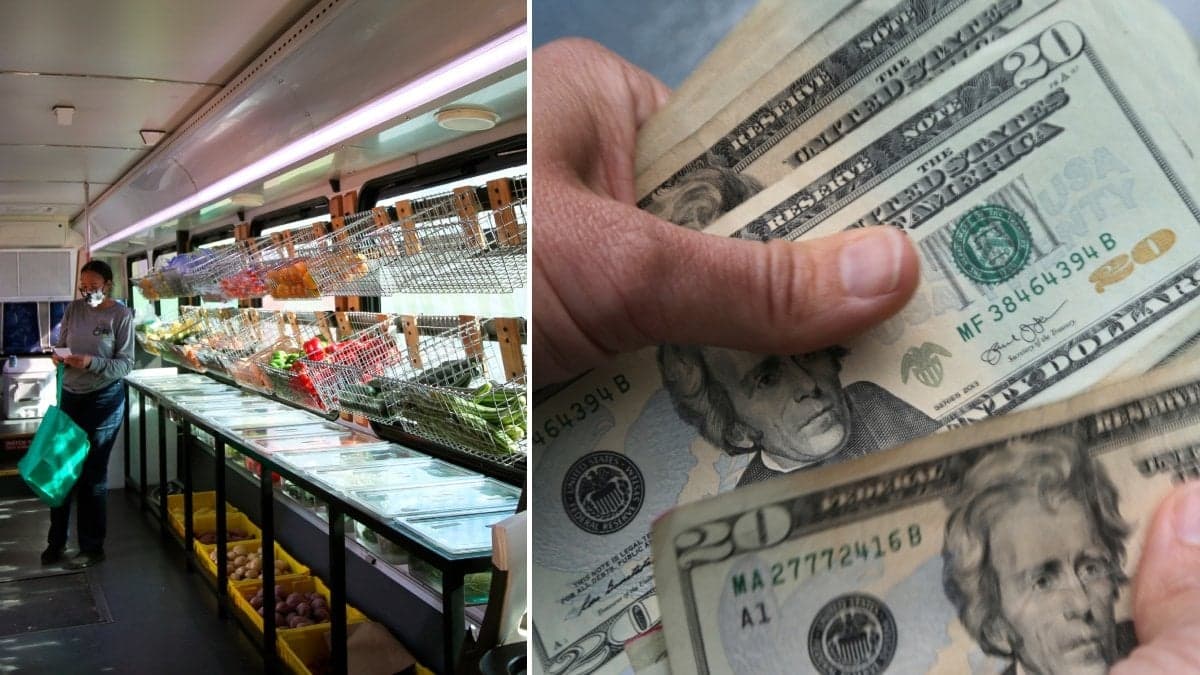 En kvinna i en amerikansk matbutik och en genrebild på dollarn. 