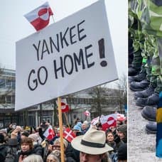Demonstrationer på Grönland, svenska flaggan och militärer.