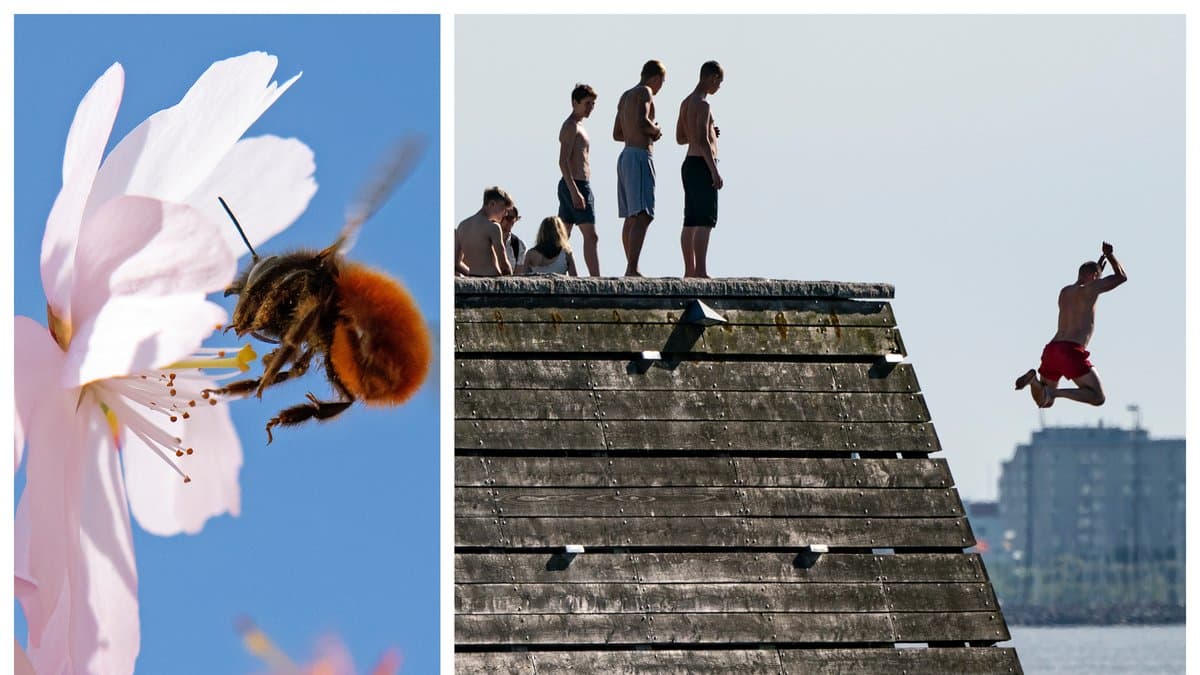 Vilka påståenden om sommaren är sanna och vilka är falska?