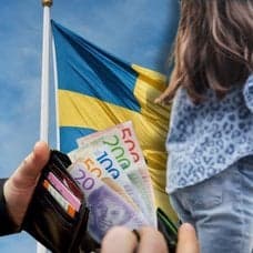 Svensk flagga, pengar och plånbok samt ett barn som håller handen med sin mamma.