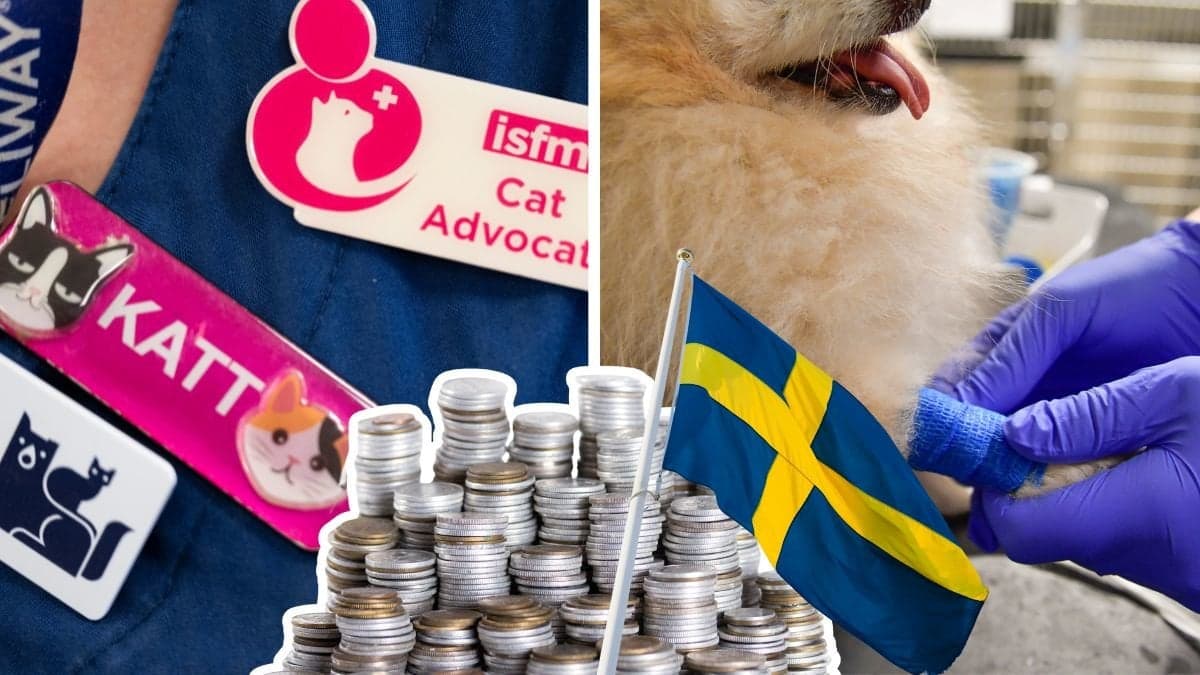 Veterinär och hund.