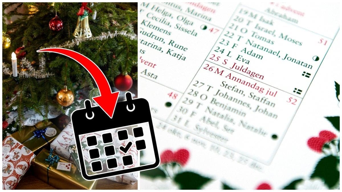 Paket under en julgran och en almanacka
