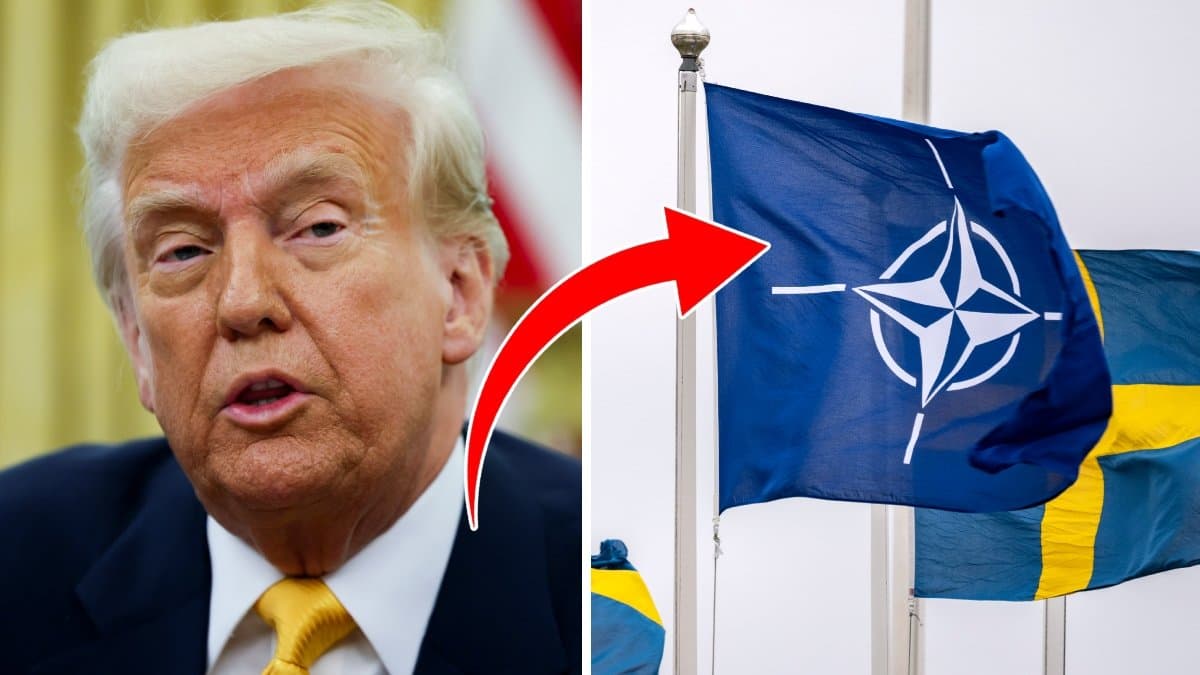 Enligt uppgifter till NBC​ överväger Donald Trump att sluta försvara Nato-länder som inte spenderar tillräckligt på sitt försvar och som inte når upp till hans krav på försvarsutgifter​