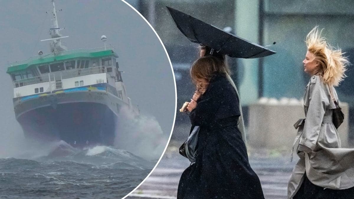 Bilder på blåst och höga vågor på havet.