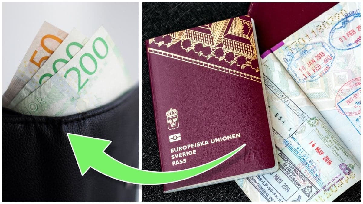 Plånbok med svenska sedlar och ett svenskt pass