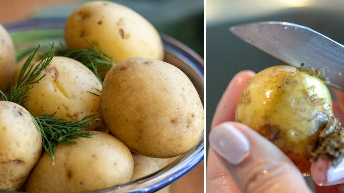 Bilder på potatis.