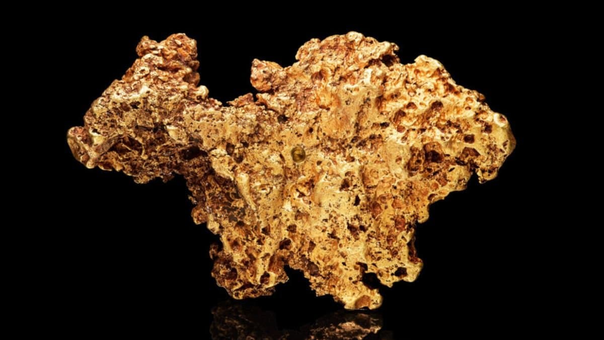 Guldklimpen vägde svindlande 4,5 kilo.