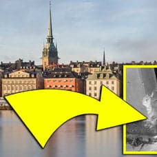 En svensk skådespelare åtalas för rattfylleri