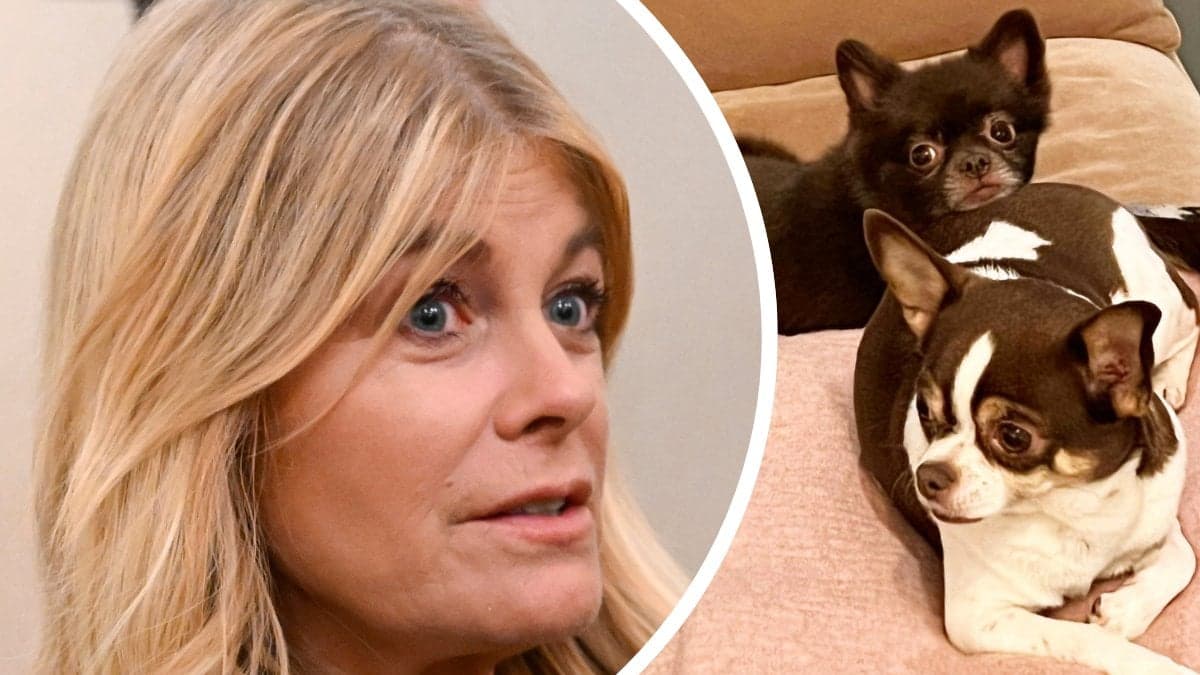 Pernilla Wahlgren vänster. Sammy och Dino, hundarna, höger.