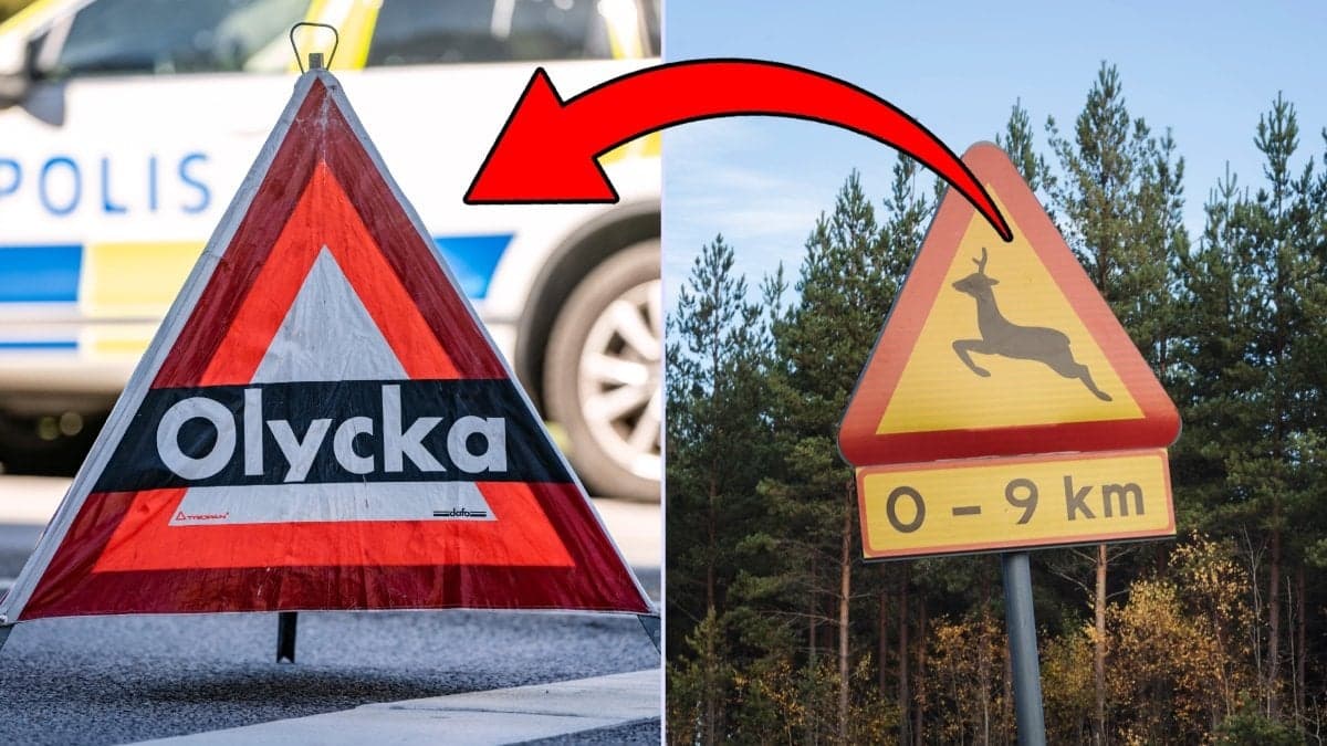 Olycksplats, viltskylt.