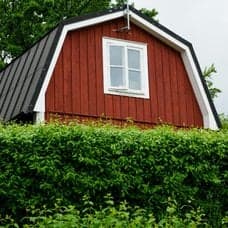 Bild på en trädgårdshäck en en häcksax.