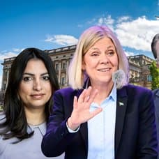 Partiledarna för V, S, M och SD