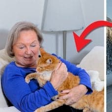 Äldre dam och postnordsbil.