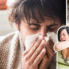 Bild på pollen och förkylning 