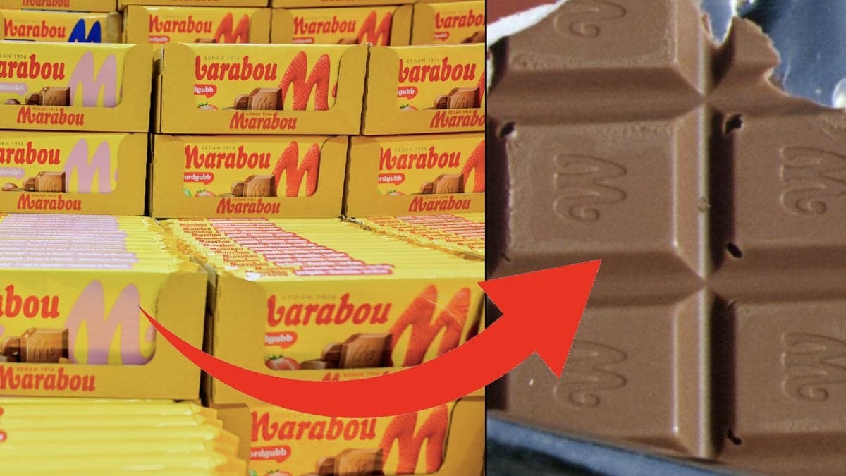 Marabou