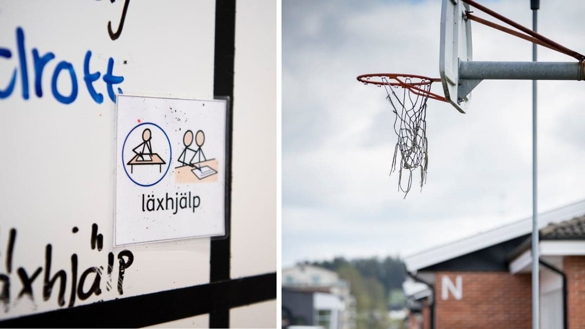Skoltavla och basketkorg