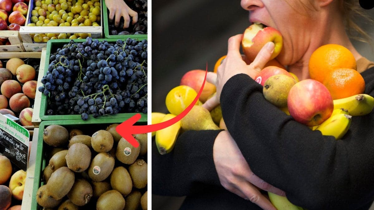 frukter och kiwis