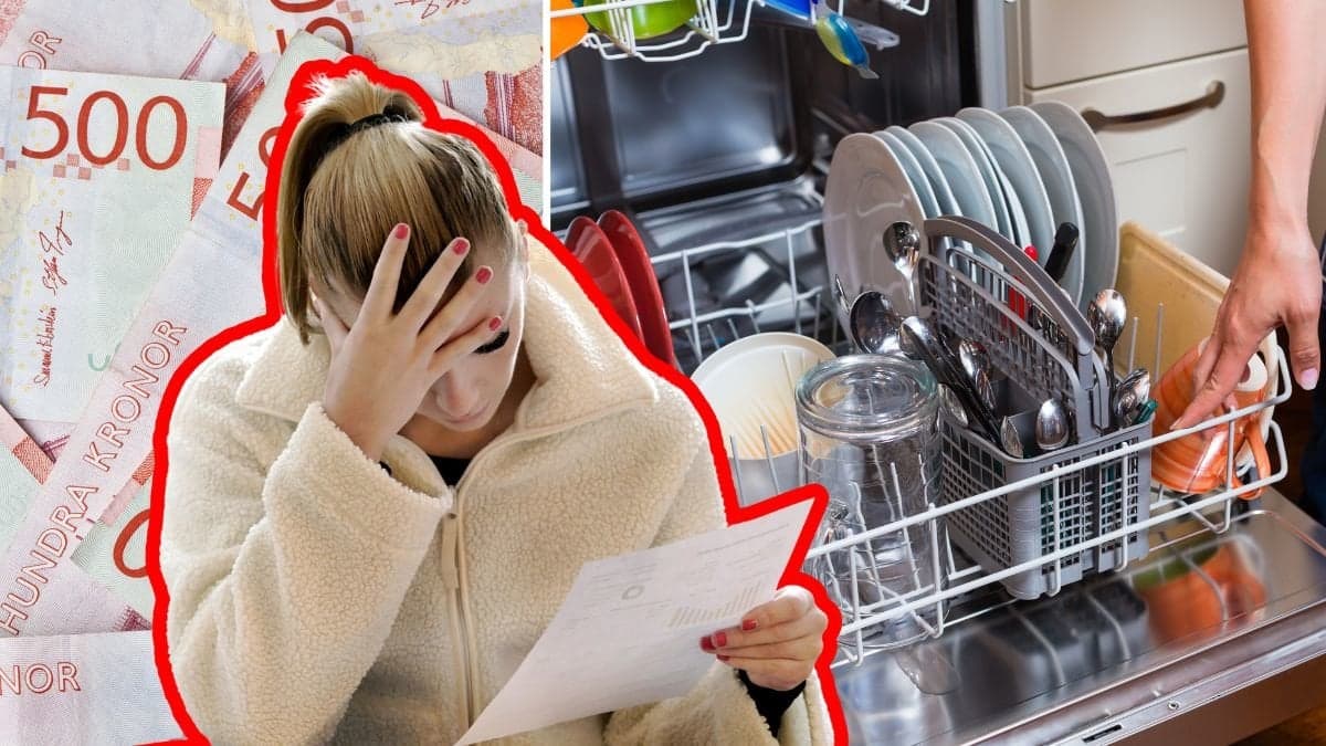 Pengar, diskmaskin och kvinna med räkning.