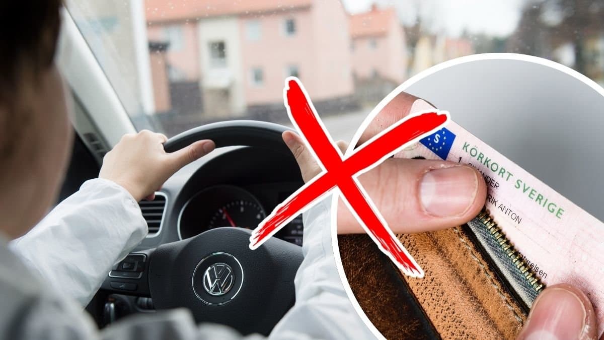 Händer på en bilratt och ett körkort i en plånbok