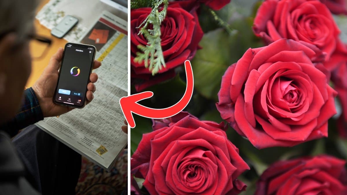 En äldre kvinna swishar för rosor. 