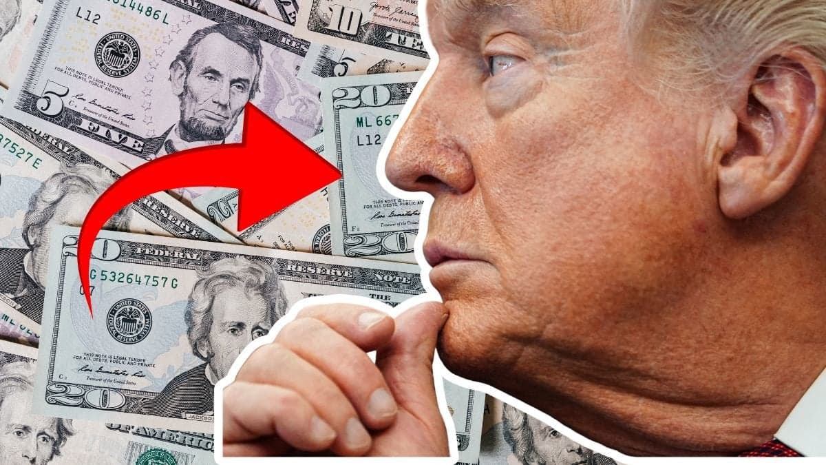 dollars i bakgrunden. utklippt närbild på Donald Trump i profil höger.