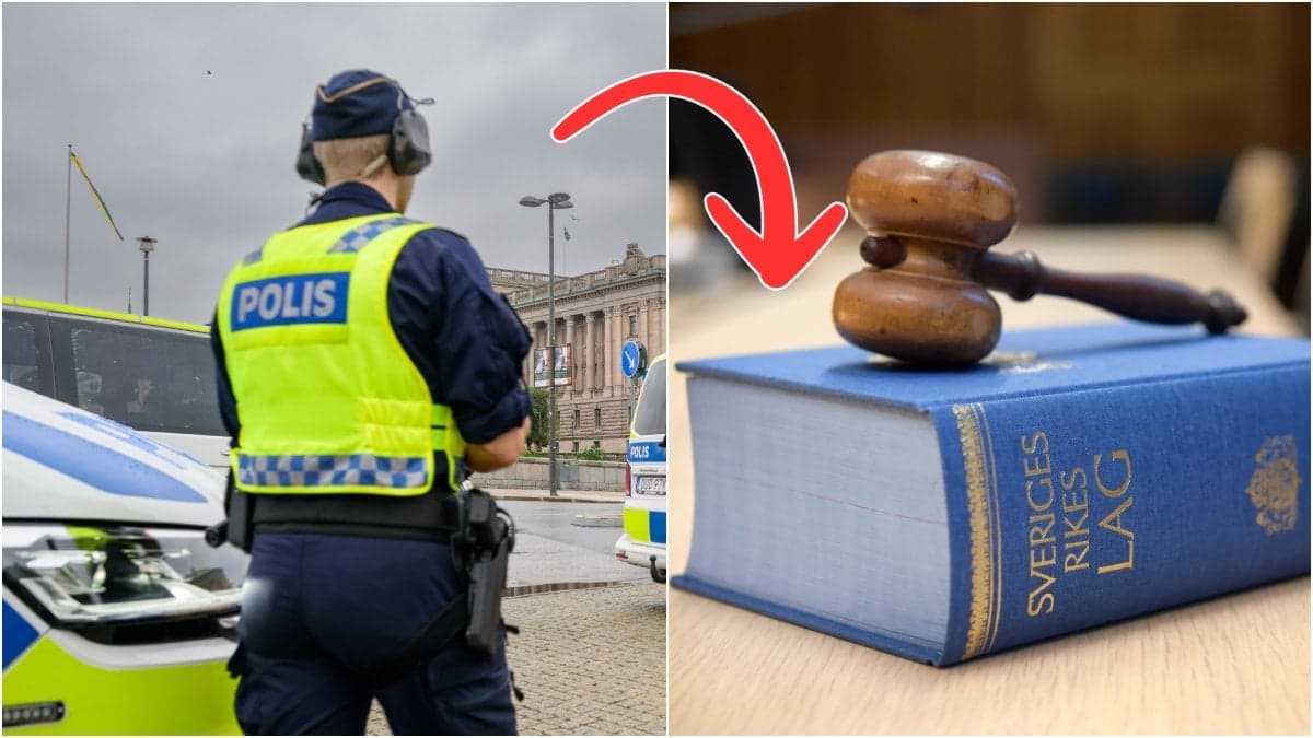 Polis och lagbok