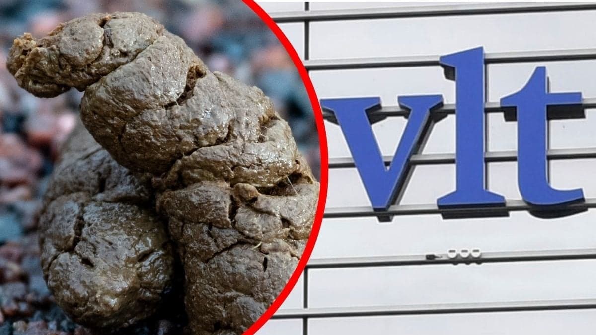 Bilder på bajs och VLT:s entré.