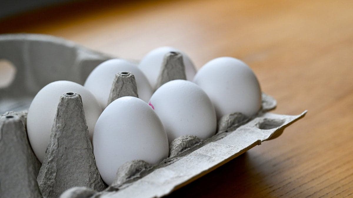 Ägg i en kartong.