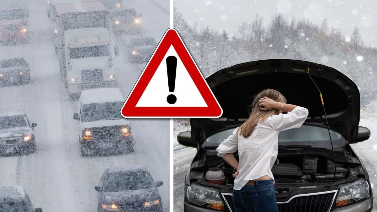 bilväg och motorhuv.