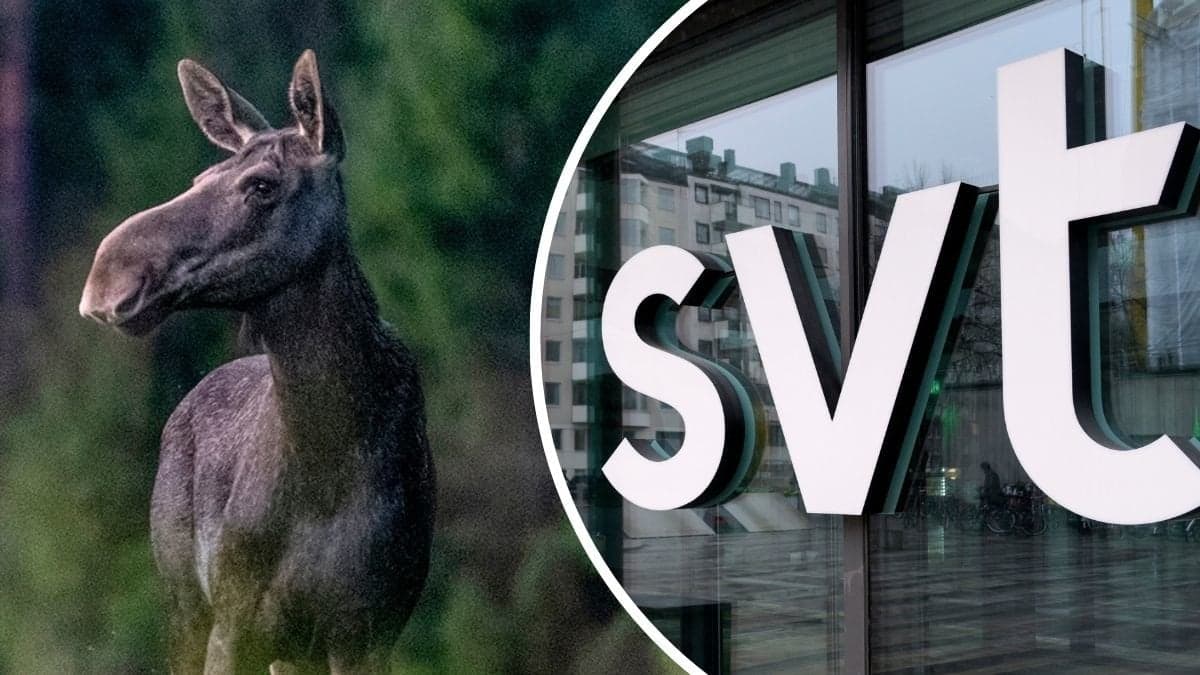Älg och SVT:s logga på fasad