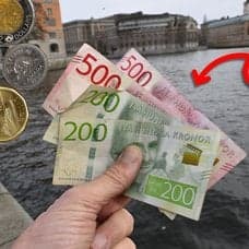 Kontanter och resväskor.