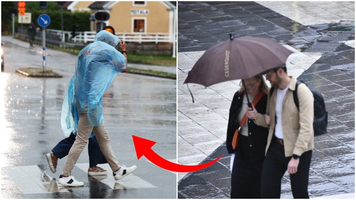 Väderprognos