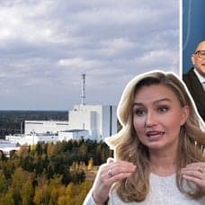 Politiker, kärnkraft, 