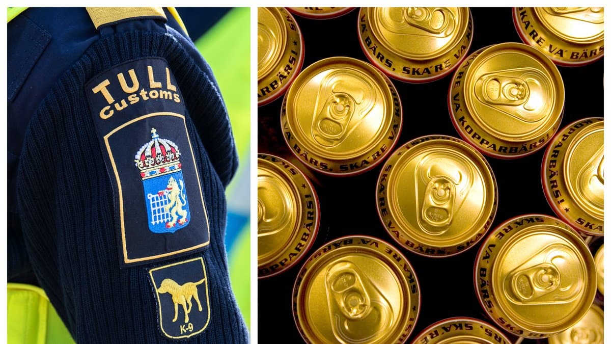 Mannen döms till samhällstjänst för smuggling.