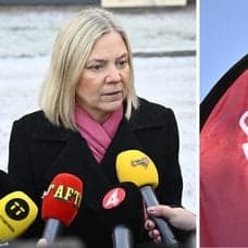 Magdalena Andersson och Socialdemokraternas symbol.