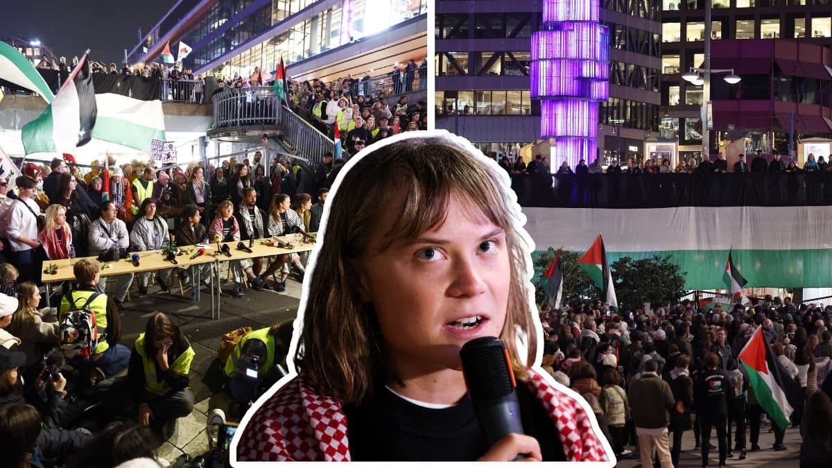 Palestinska flaggor och Greta Thunberg.