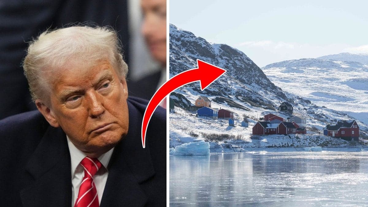 Varför är Trump så intresserad av världens största ö?