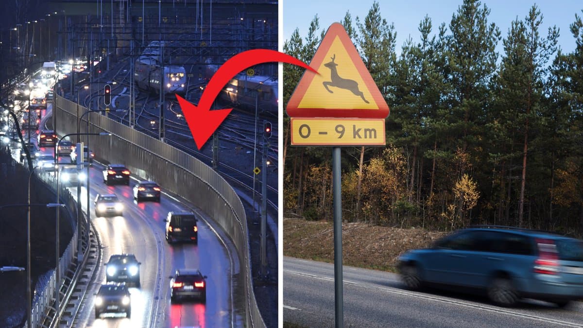 Trafikerad väg och viltolyckaskylt.