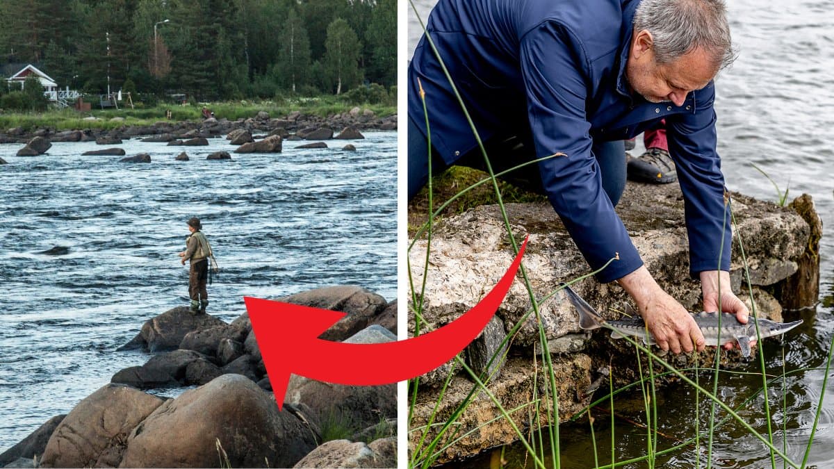 Fiskare och en fisk. 