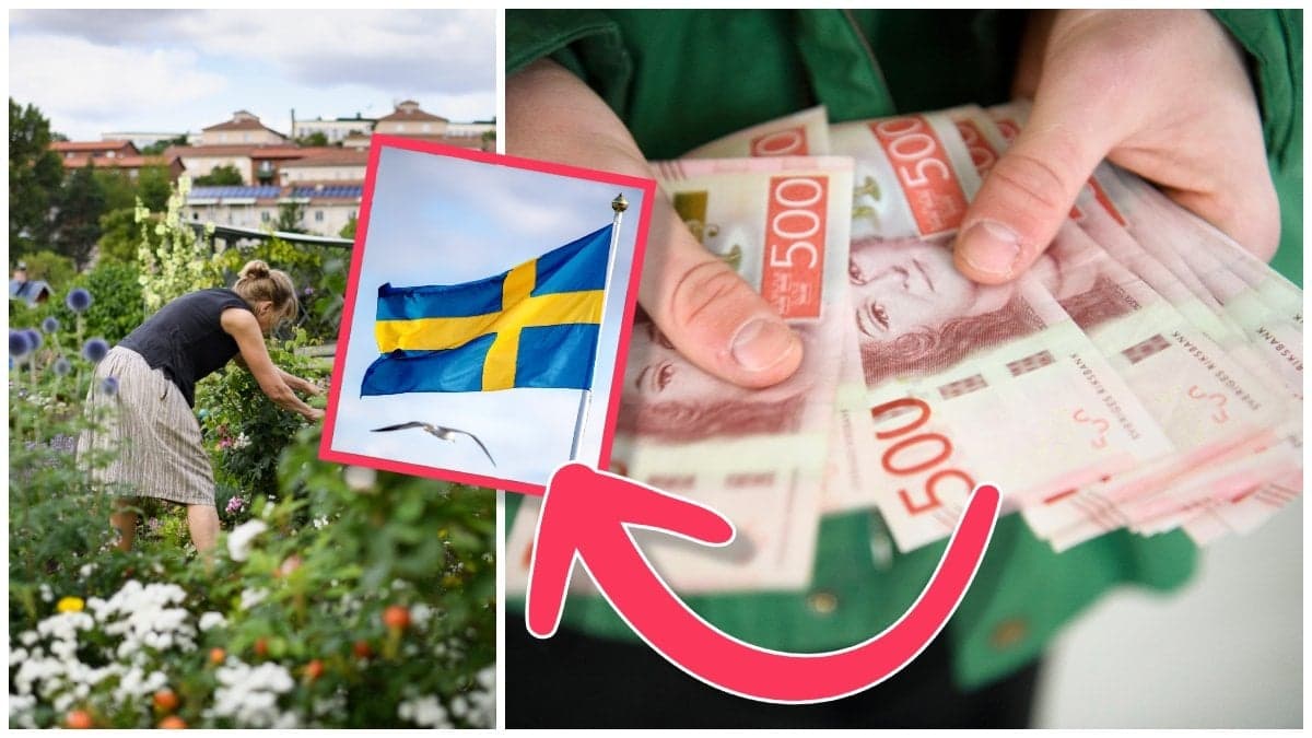 Sju kommuner är en del av projektet. 
