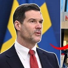 Johan Forssell och Migrationsverket