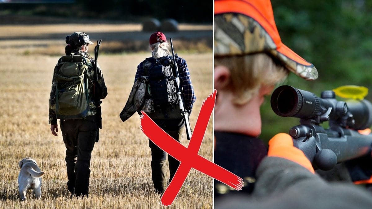 Två kvinnor under en dovhjortsjakt och en man som jagar. 