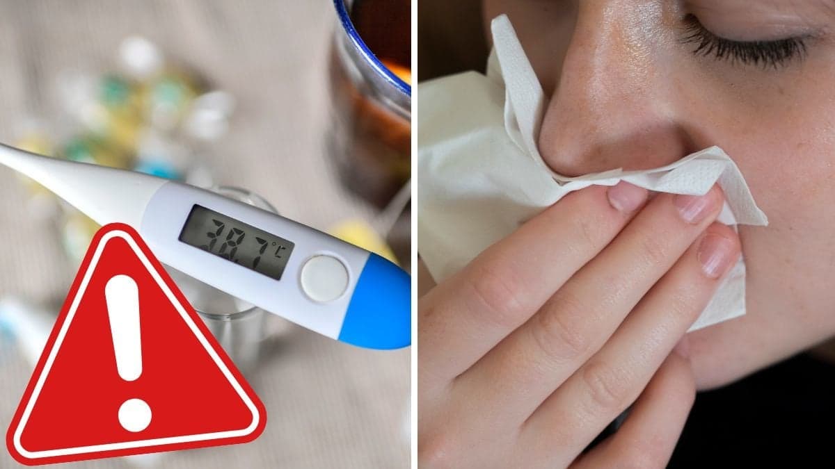 Febertermometer och förkyld person som snyter sig.