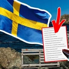 Sverige-flagga, hav och amerikansk hummer