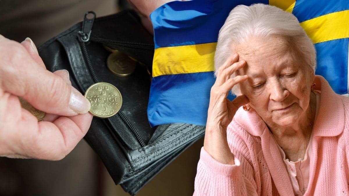 Mynt i en plånbok, svenska flaggan och en ledsen kvinna.