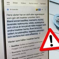Se upp för telefonnummer i Googles AI-översikt.