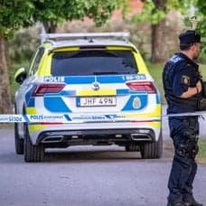 Polis